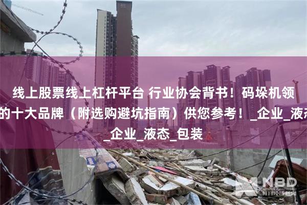 线上股票线上杠杆平台 行业协会背书！码垛机领域相关的十大品牌（附选购避坑指南）供您参考！_企业_液态_包装