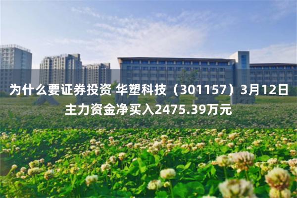 为什么要证券投资 华塑科技（301157）3月12日主力资金净买入2475.39万元