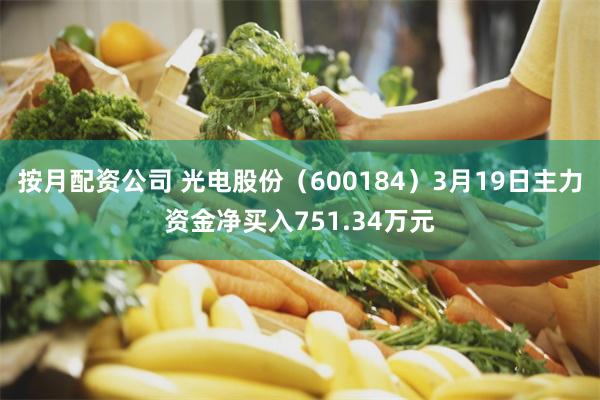 按月配资公司 光电股份（600184）3月19日主力资金净买入751.34万元
