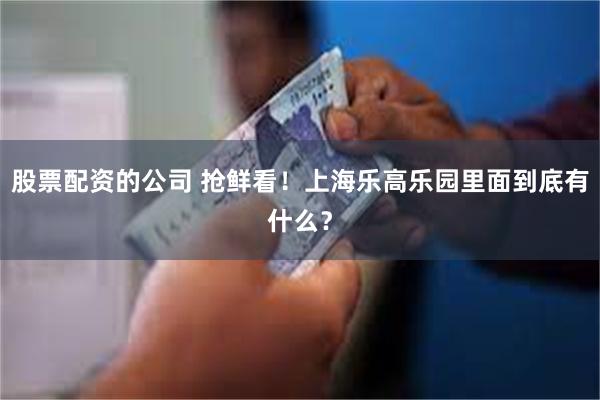 股票配资的公司 抢鲜看！上海乐高乐园里面到底有什么？