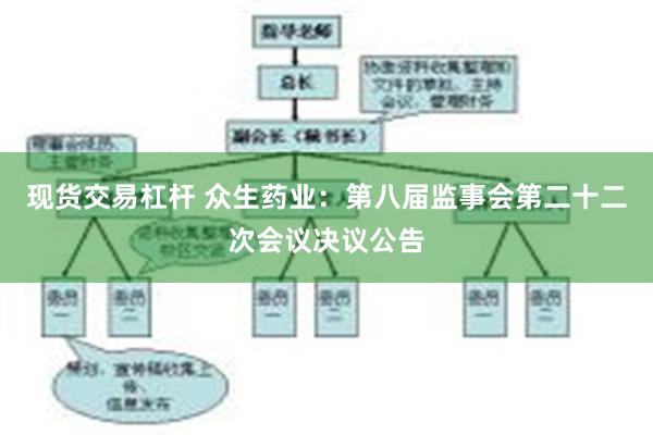 现货交易杠杆 众生药业：第八届监事会第二十二次会议决议公告