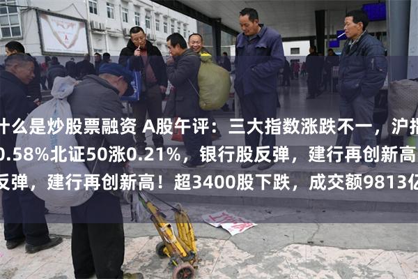 什么是炒股票融资 A股午评：三大指数涨跌不一，沪指涨0.21%创业板指跌0.58%北证50涨0.21%，银行股反弹，建行再创新高！超3400股下跌，成交额9813亿放量487亿