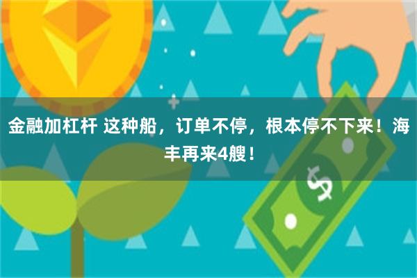 金融加杠杆 这种船，订单不停，根本停不下来！海丰再来4艘！