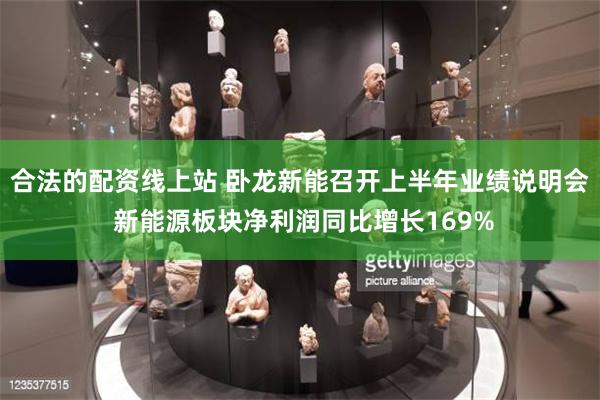 合法的配资线上站 卧龙新能召开上半年业绩说明会 新能源板块净利润同比增长169%