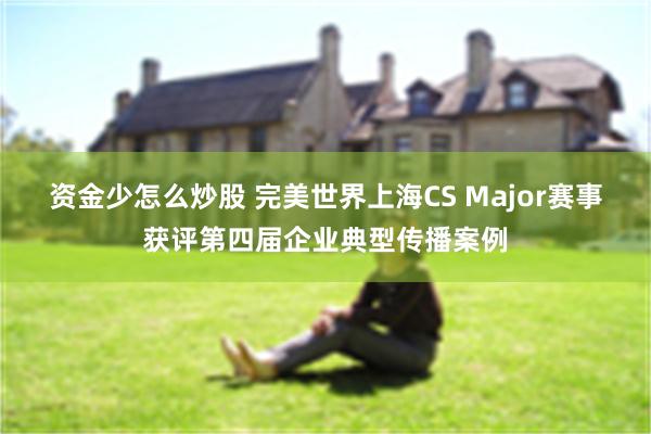 资金少怎么炒股 完美世界上海CS Major赛事获评第四届企业典型传播案例